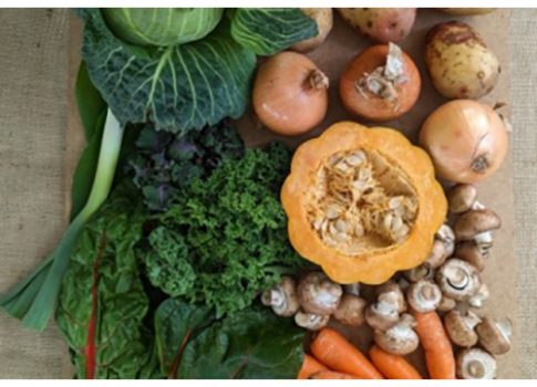 Growing Communities seed save & swap