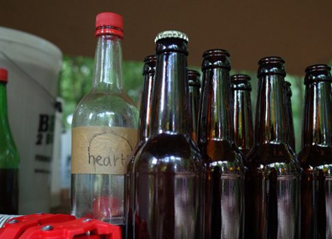Fermented community brew