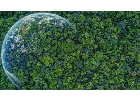 Sustainability masterclass with Valpak Consulting